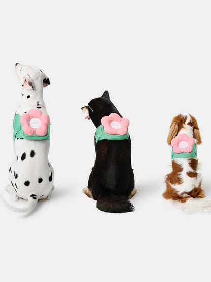 VETRESKA Flora Pet Backpack & Harness 3 in 1 Set