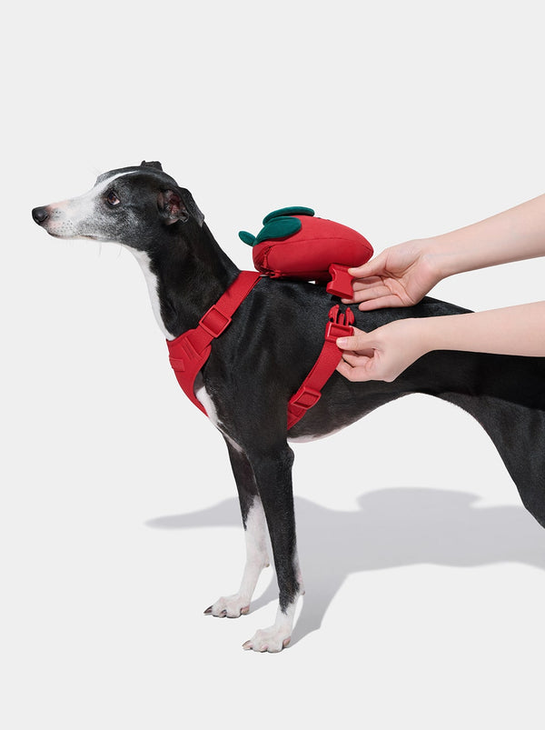 VETRESKA Strawberry Pet Backpack, Harness & Leash Set (XS)