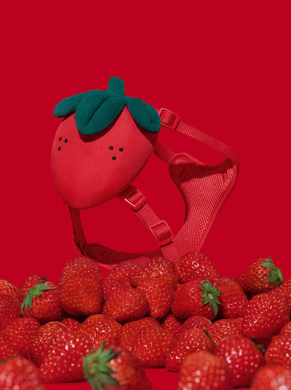 VETRESKA Strawberry Pet Backpack, Harness & Leash Set (S)