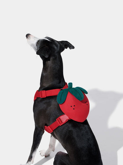 VETRESKA Strawberry Pet Backpack, Harness & Leash Set (S)