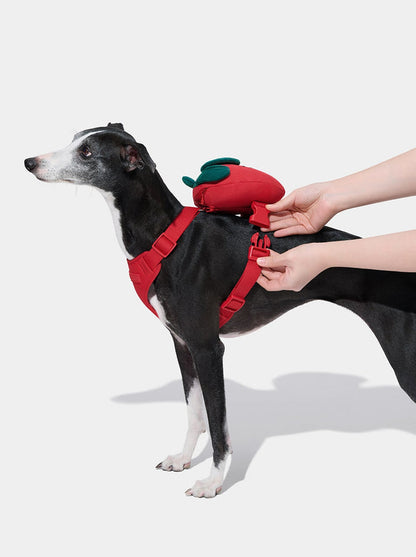 VETRESKA Strawberry Pet Backpack, Harness & Leash Set (S)