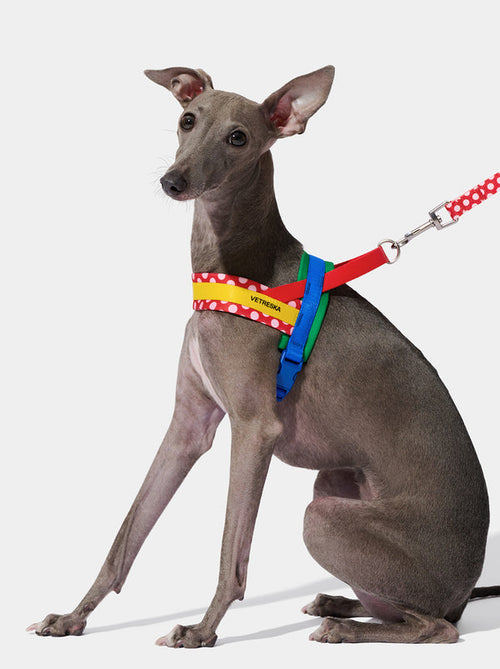 VETRESKA Chroma Pet Harness & Leash Set-Red (L)
