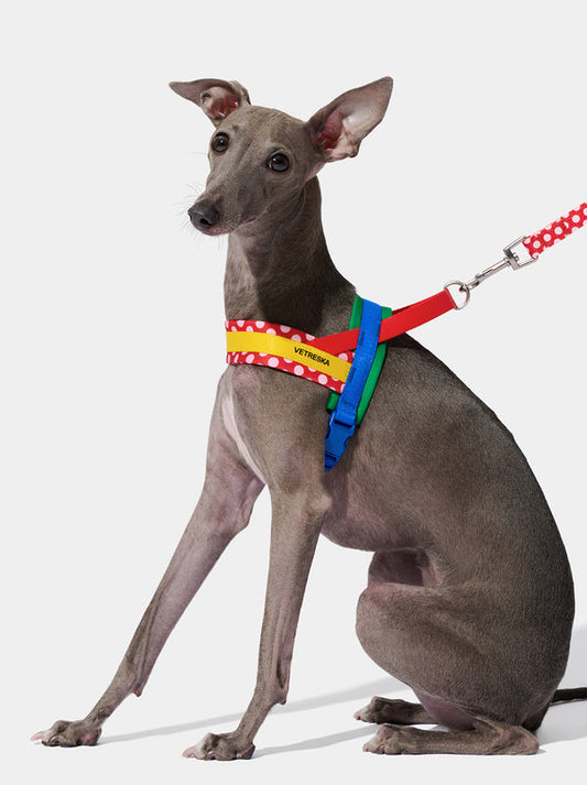 VETRESKA Chroma Pet Harness & Leash Set-Red (L)