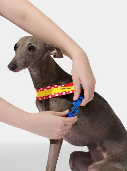 VETRESKA Chroma Pet Harness & Leash Set-Red (L)