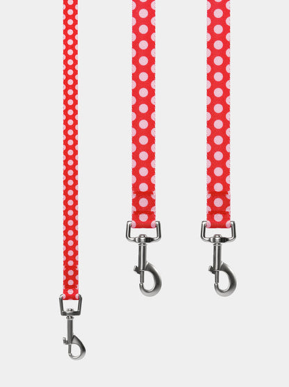 VETRESKA Chroma Pet Harness & Leash Set-Red (L)