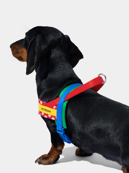 VETRESKA Chroma Pet Harness & Leash Set-Red (L)