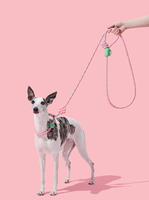 VETRESKA Connect Hands-Free Rope Leash for Pets (Flora)