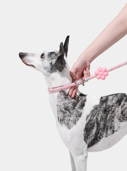 VETRESKA Connect Hands-Free Rope Leash for Pets (Flora)