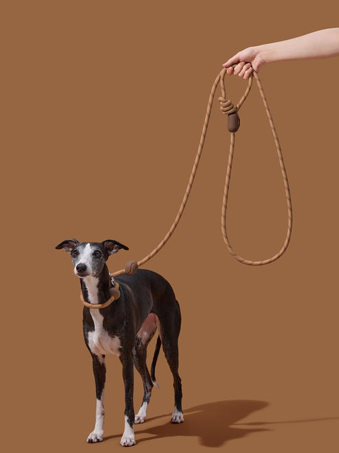 VETRESKA Connect Hands-Free Rope Leash for Pets (Coffee)