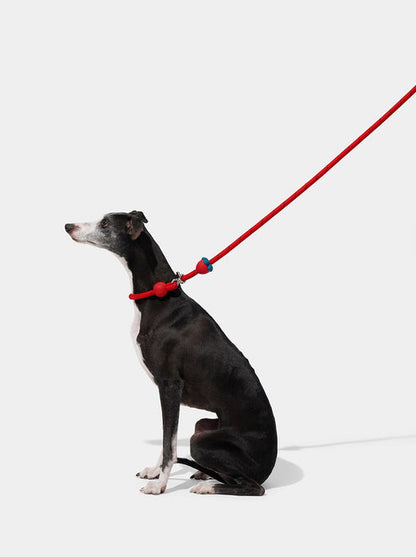VETRESKA Connect Hands-Free Rope Leash for Pets (Strawberry)