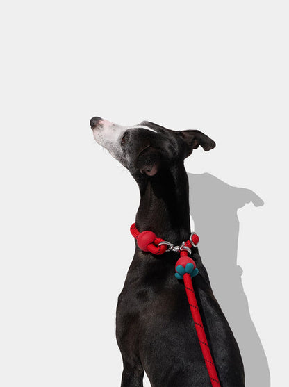 VETRESKA Connect Hands-Free Rope Leash for Pets (Strawberry)