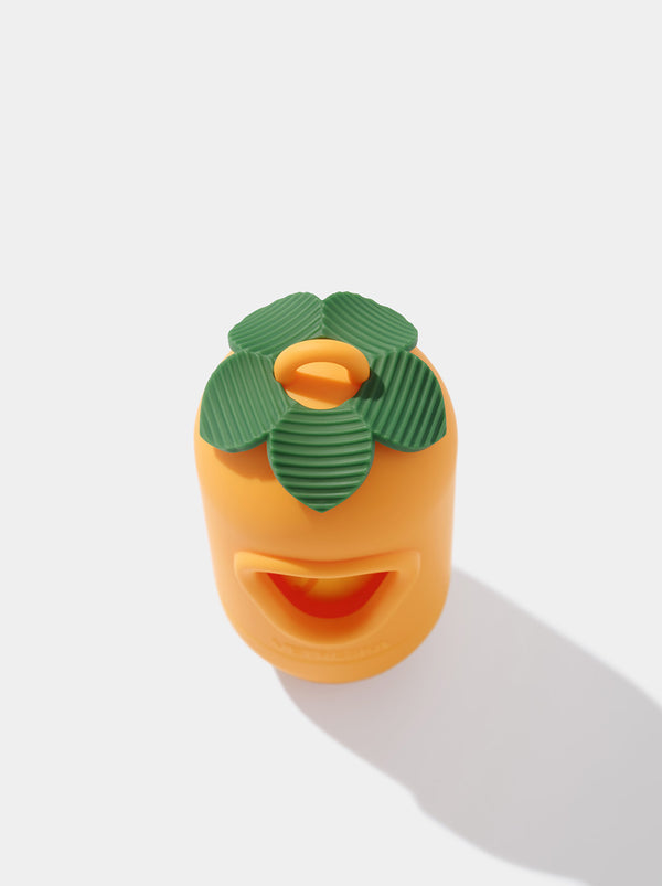 VETRESKA Tangerine Pet Poop Bags & Dispenser (1 Dispenser + 1 Roll)