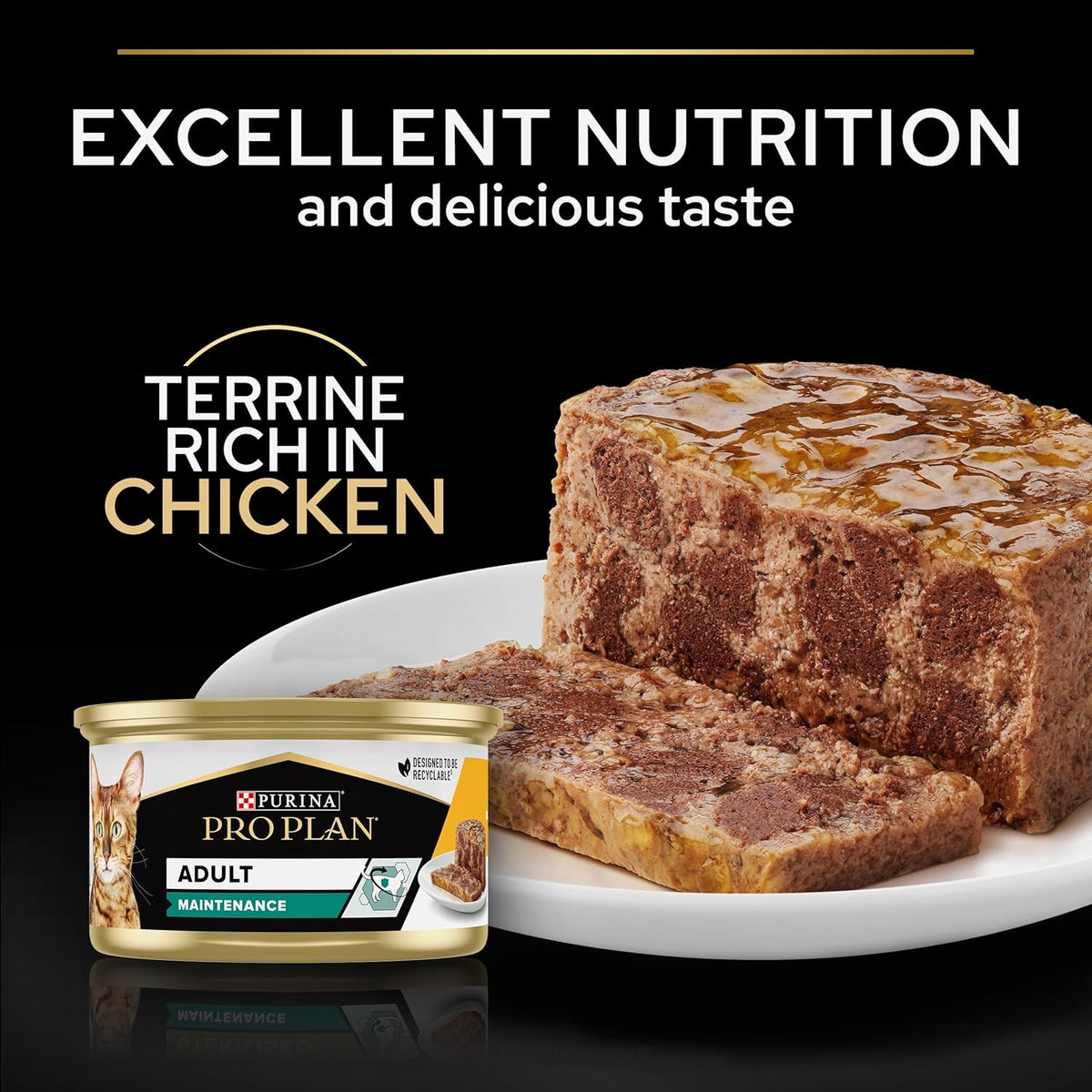 Pro Plan Adult Maintenance, Wet Cat Food, Terrine rich in Chicken 85g