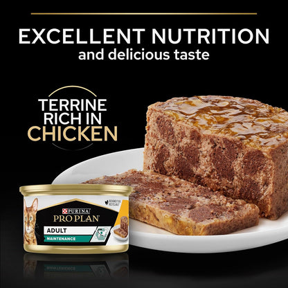 Pro Plan Adult Maintenance, Wet Cat Food, Terrine rich in Chicken 85g