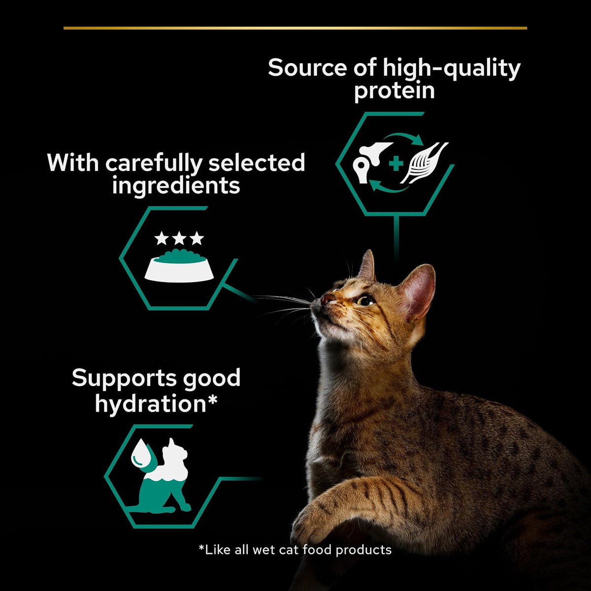 Pro Plan Adult Maintenance, Wet Cat Food, Terrine rich in Chicken 85g