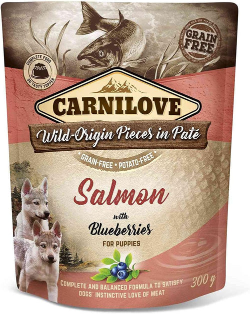 Carnilove Salmon with Blueberries for Puppies (Wet Food Pouches) 300g
