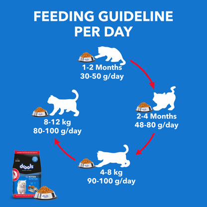 Drools Kitten Mackerel Dry Food 1kg (with Container Free)