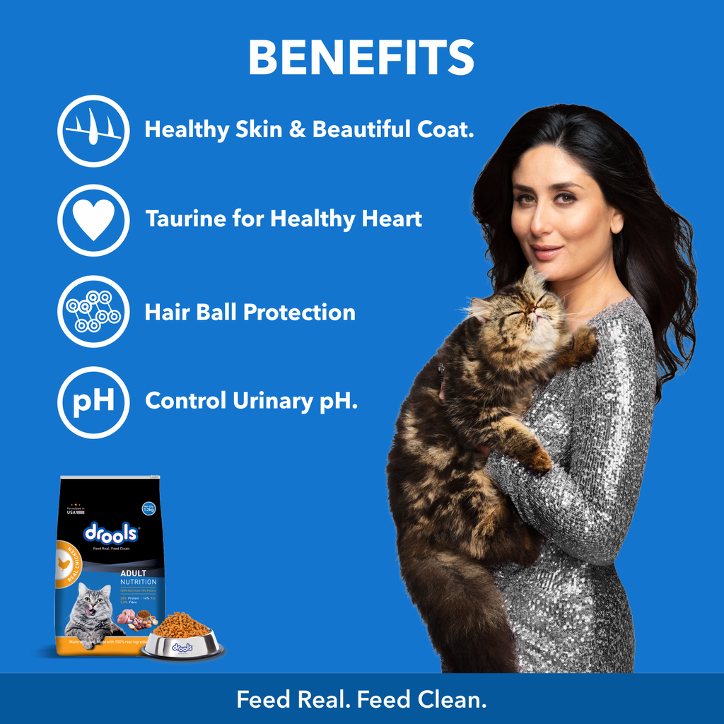 Drools Cat Chicken Dry Food 1.2kg