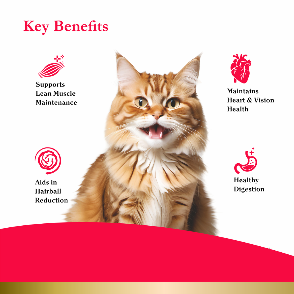 PurePet Peak Cat Chicken Dry Food 1.2kg