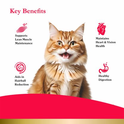 PurePet Peak Cat Chicken Dry Food 1.2kg