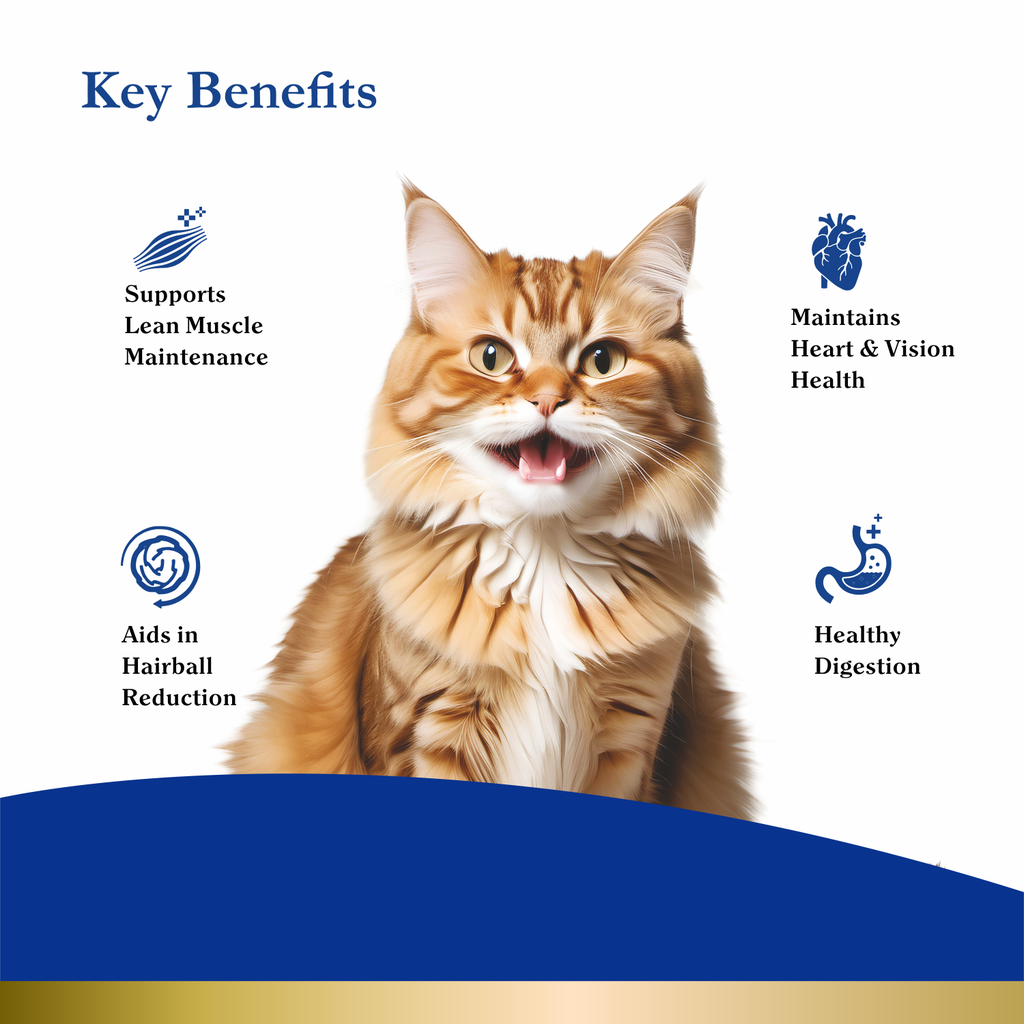 PurePet Peak Cat Mackerel Dry Food 1.2kg