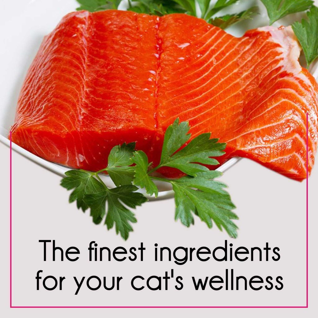 PurePet Cat Tuna & Salmon Dry Food 3kg