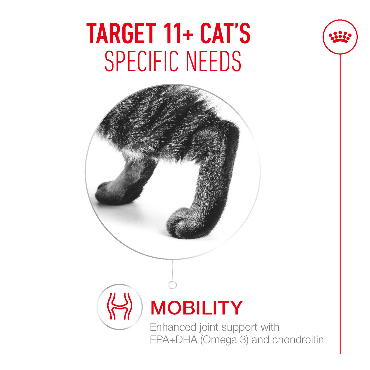 Royal Canin Feline Health Nutrition Ageing 11+ Gravy (Wet Food - Pouches) 12 x 85 g