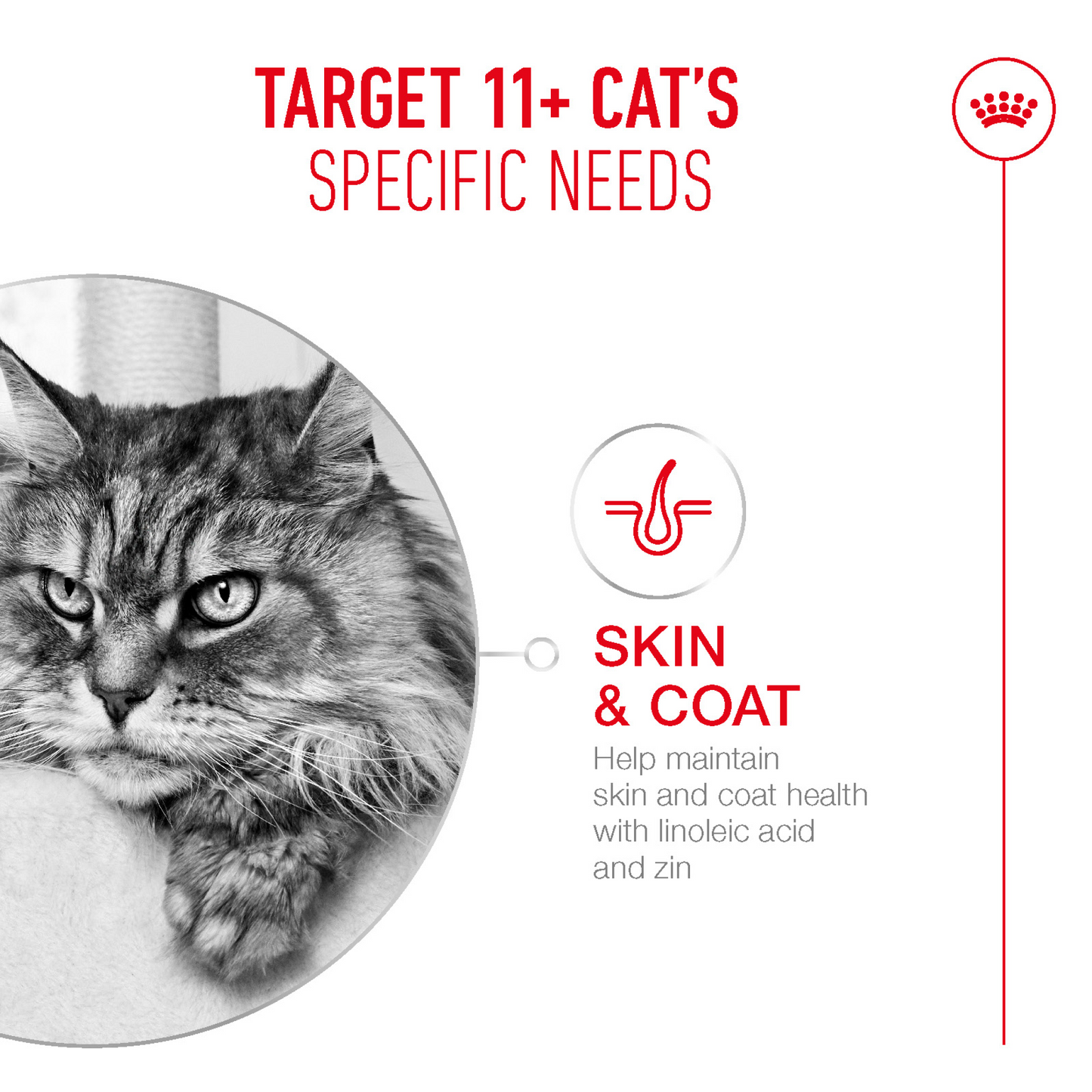 Royal Canin Feline Health Nutrition Ageing 11+ Gravy (Wet Food - Pouches) 12 x 85 g