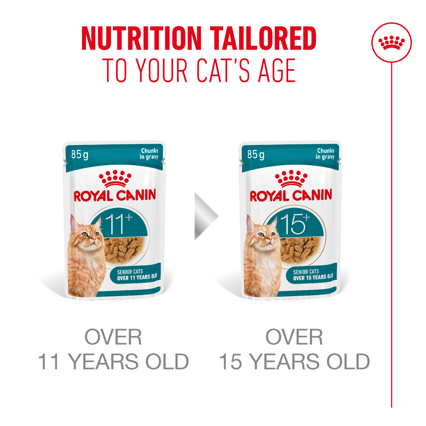 Royal Canin Feline Health Nutrition Ageing 11+ Gravy (Wet Food - Pouches) 12 x 85 g