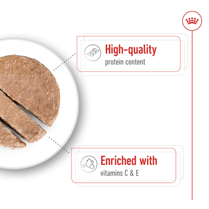 Royal Canin Size Health Nutrition Medium Adult (Wet Food - Can) 410G