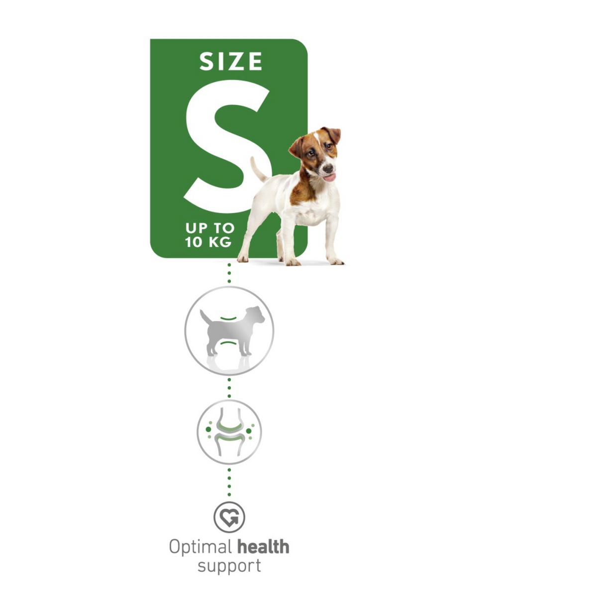 Royal Canin Size Health Nutrition Pro Mini Adult 15 kg