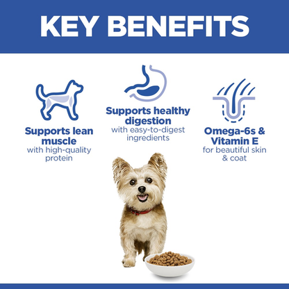 Hill’s Science Plan Small & Mini Adult Dog Food With Chicken (3kg)