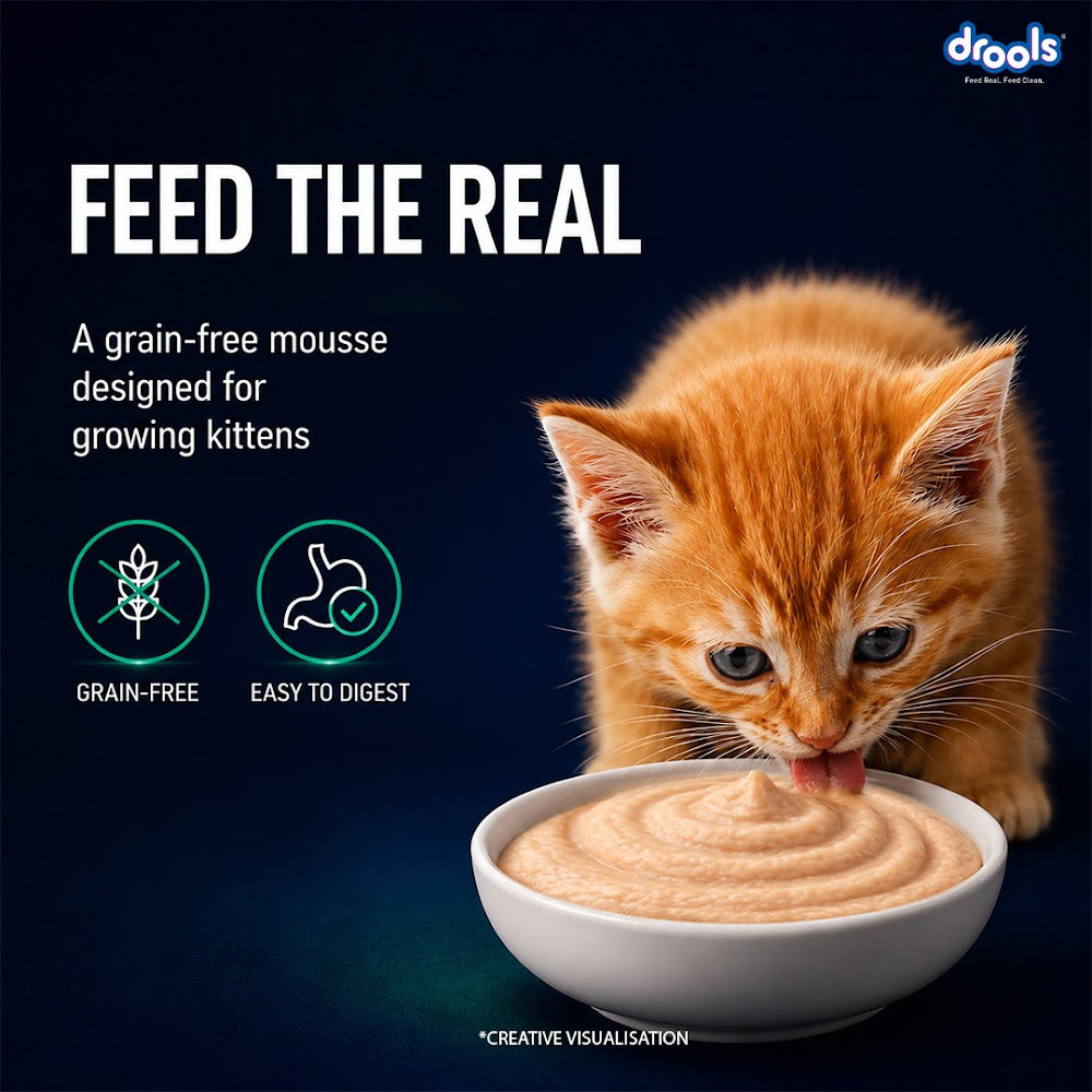 Drools Tuna Mousse Kitten 80g (5+1) Pc