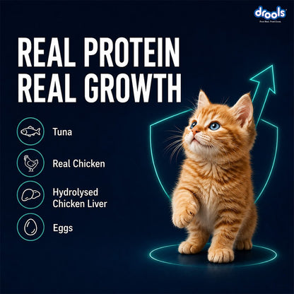 Drools Tuna Mousse Kitten 80g (5+1) Pc