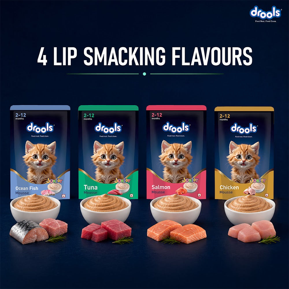 Drools Tuna Mousse Kitten 80g (5+1) Pc