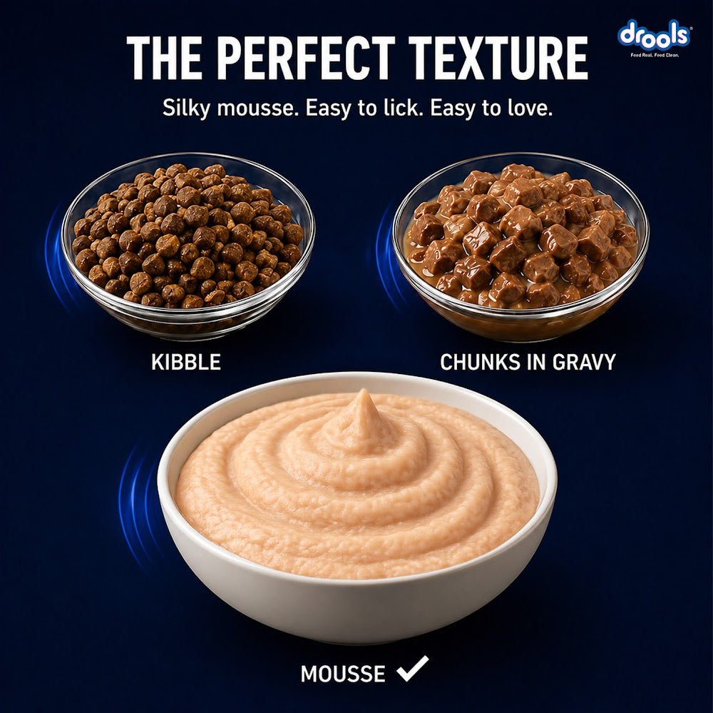 Drools Chicken Mousse Kitten 80g (5+1)Pc