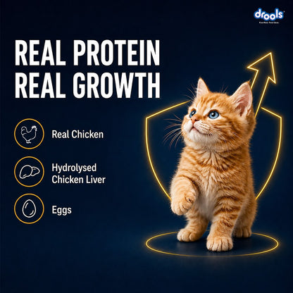 Drools Chicken Mousse Kitten 80g (5+1)Pc