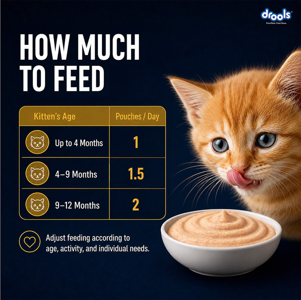 Drools Chicken Mousse Kitten 80g (5+1)Pc