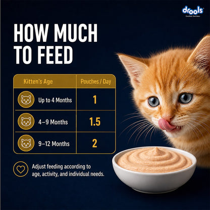 Drools Chicken Mousse Kitten 80g (5+1)Pc