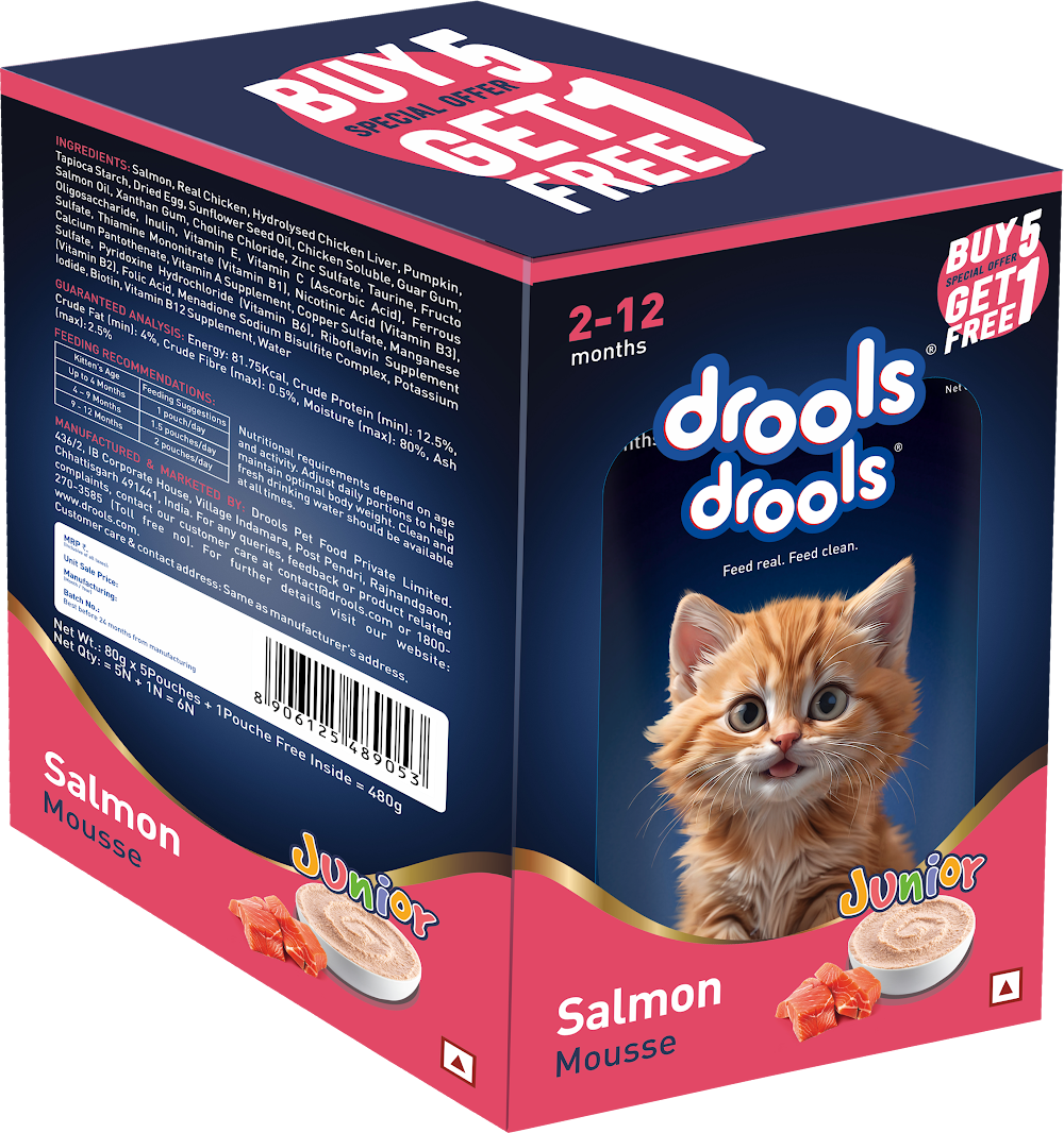 Drools Salmon Mousse Kitten 80g (5+1) Pc