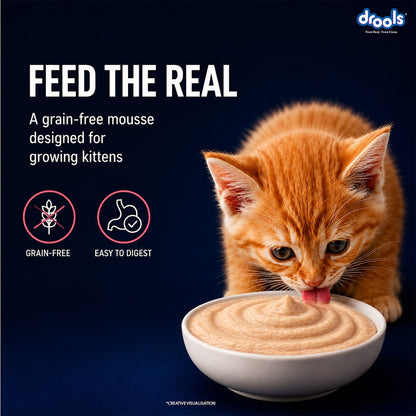 Drools Salmon Mousse Kitten 80g (5+1) Pc