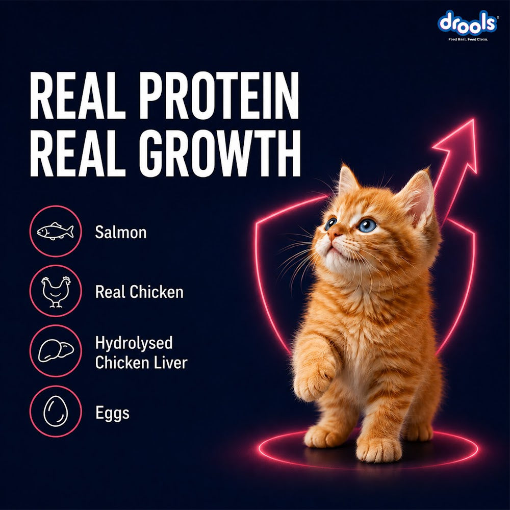 Drools Salmon Mousse Kitten 80g (5+1) Pc