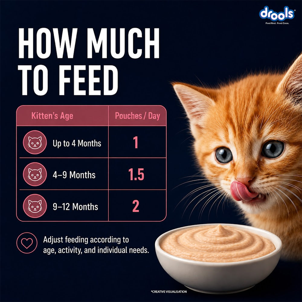 Drools Salmon Mousse Kitten 80g (5+1) Pc