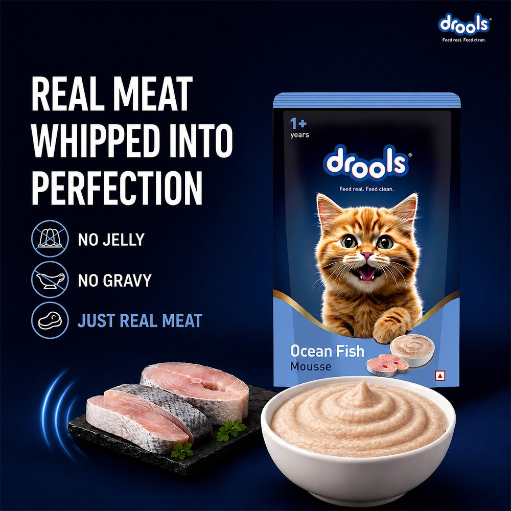 Drools Ocean Fish Mousse Cat 80g(5+1)Pc