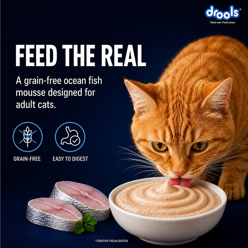 Drools Ocean Fish Mousse Cat 80g(5+1)Pc