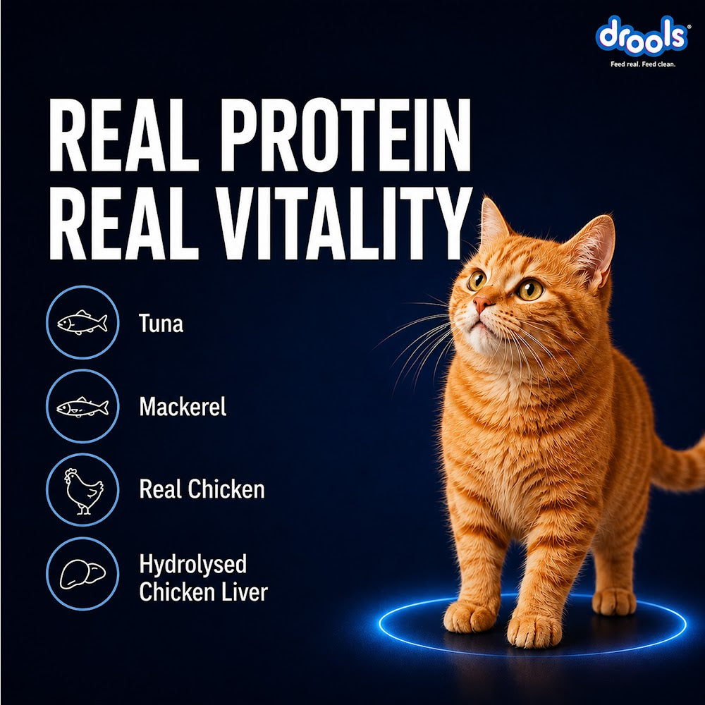 Drools Ocean Fish Mousse Cat 80g(5+1)Pc