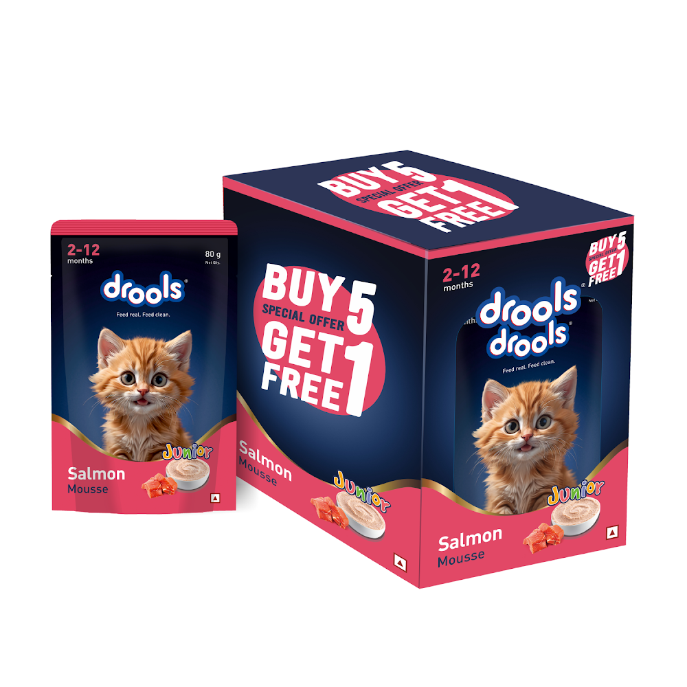 Drools Salmon Mousse Kitten 80g (5+1) Pc