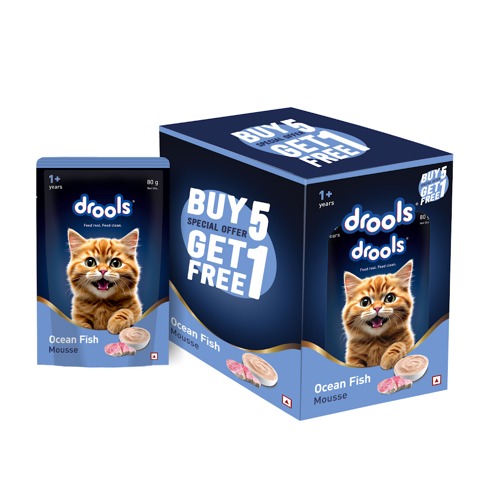 Drools Ocean Fish Mousse Cat 80g(5+1)Pc