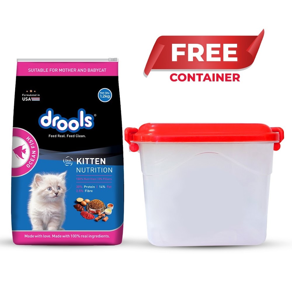 Drools Kitten(1-12 Months) Dry Cat Food, Ocean Fish, 1.2kg with Free Container