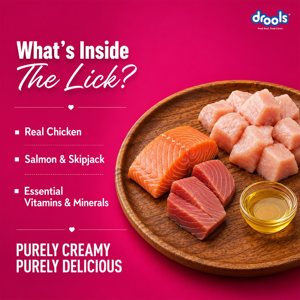 Drools Creamy Salmon & Skipjack (5x15g)